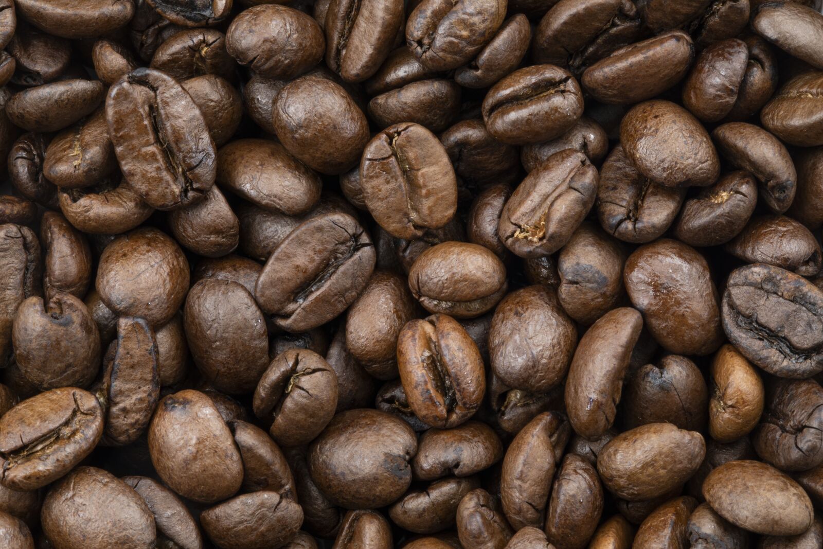 Canon EOS 5D Mark IV + Canon EF 100mm F2.8L Macro IS USM sample photo. Coffee, beans, coffee beans photography