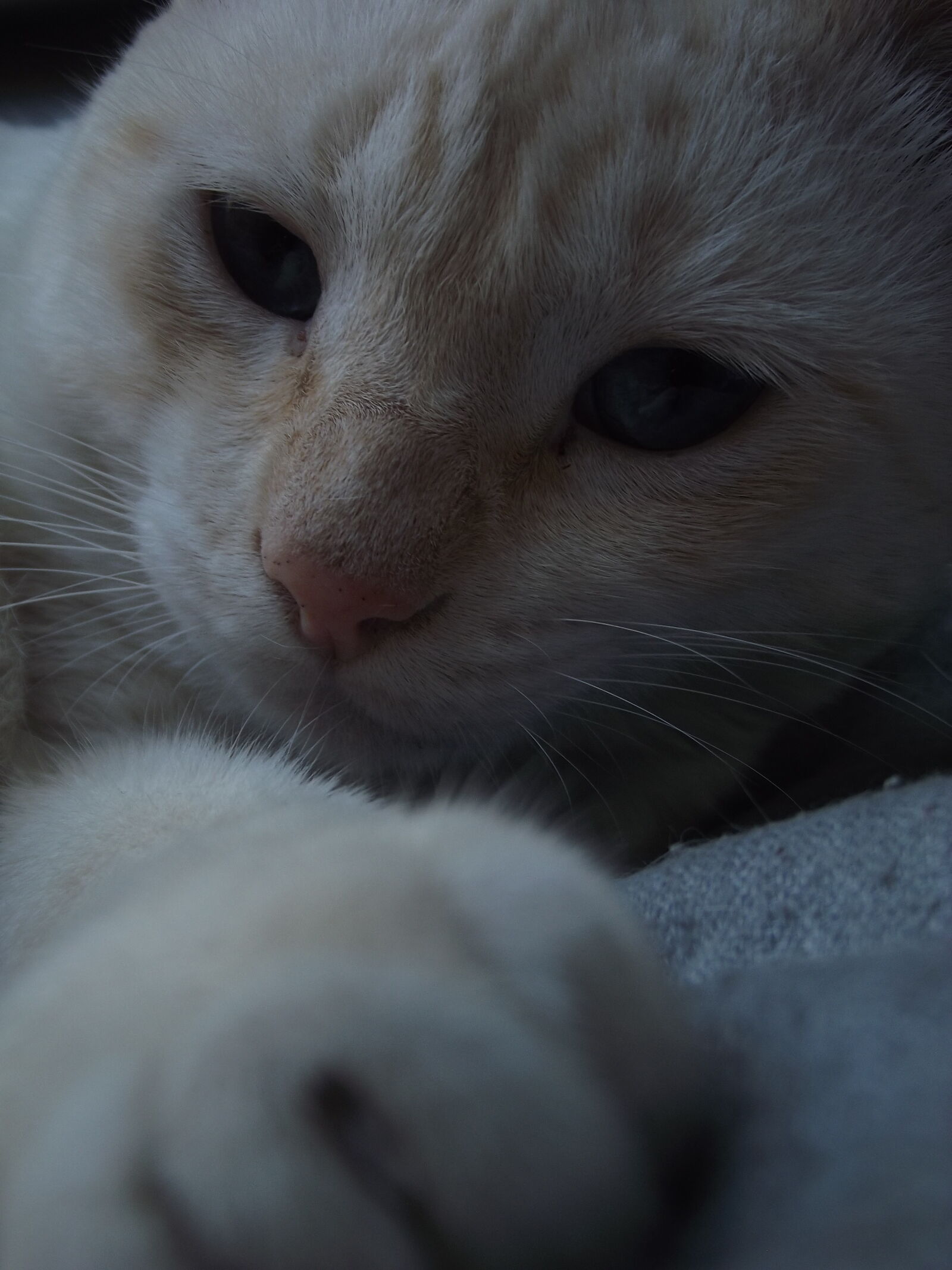 Fujifilm FinePix S2980 sample photo
