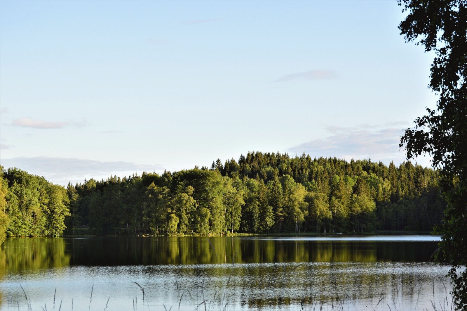 Nikon D3200 sample photo. Forest, water, lake photography