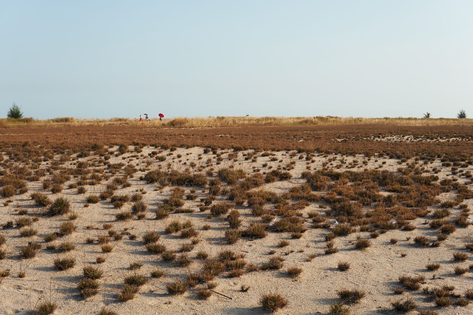 30mm F1.4 DC DN | Contemporary 016 sample photo. Desert, landscape, nature photography