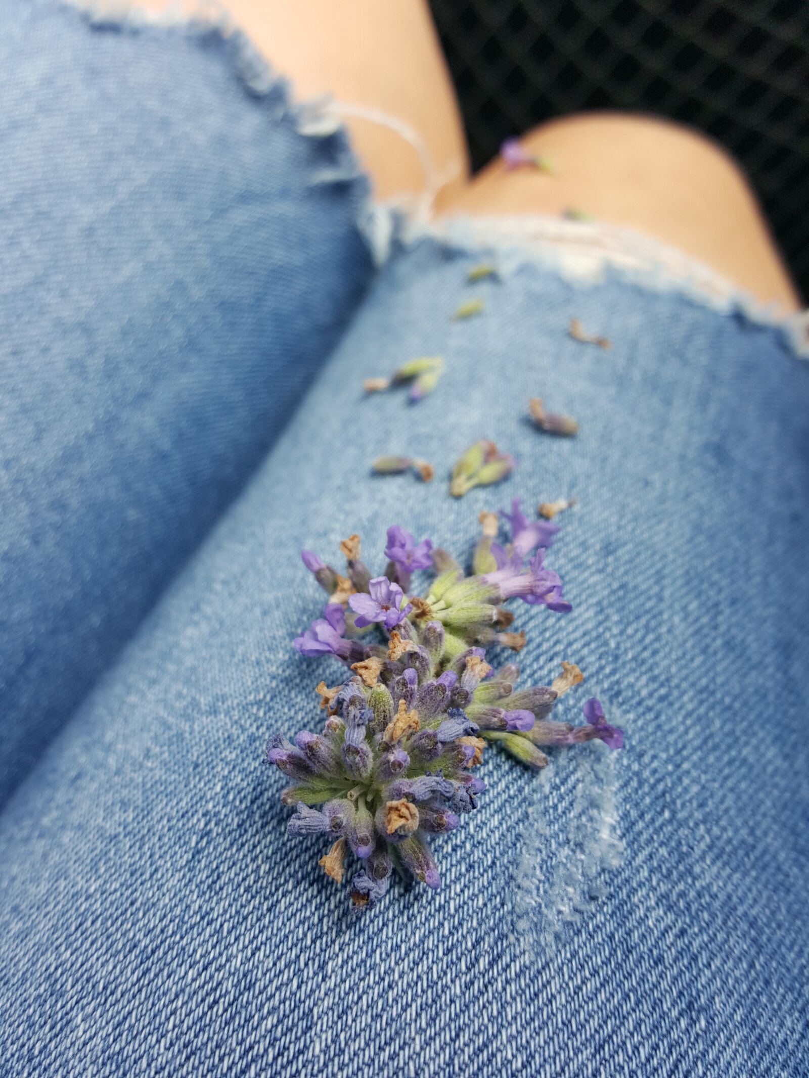Samsung Galaxy S6 sample photo. Jeans, girl, flower photography