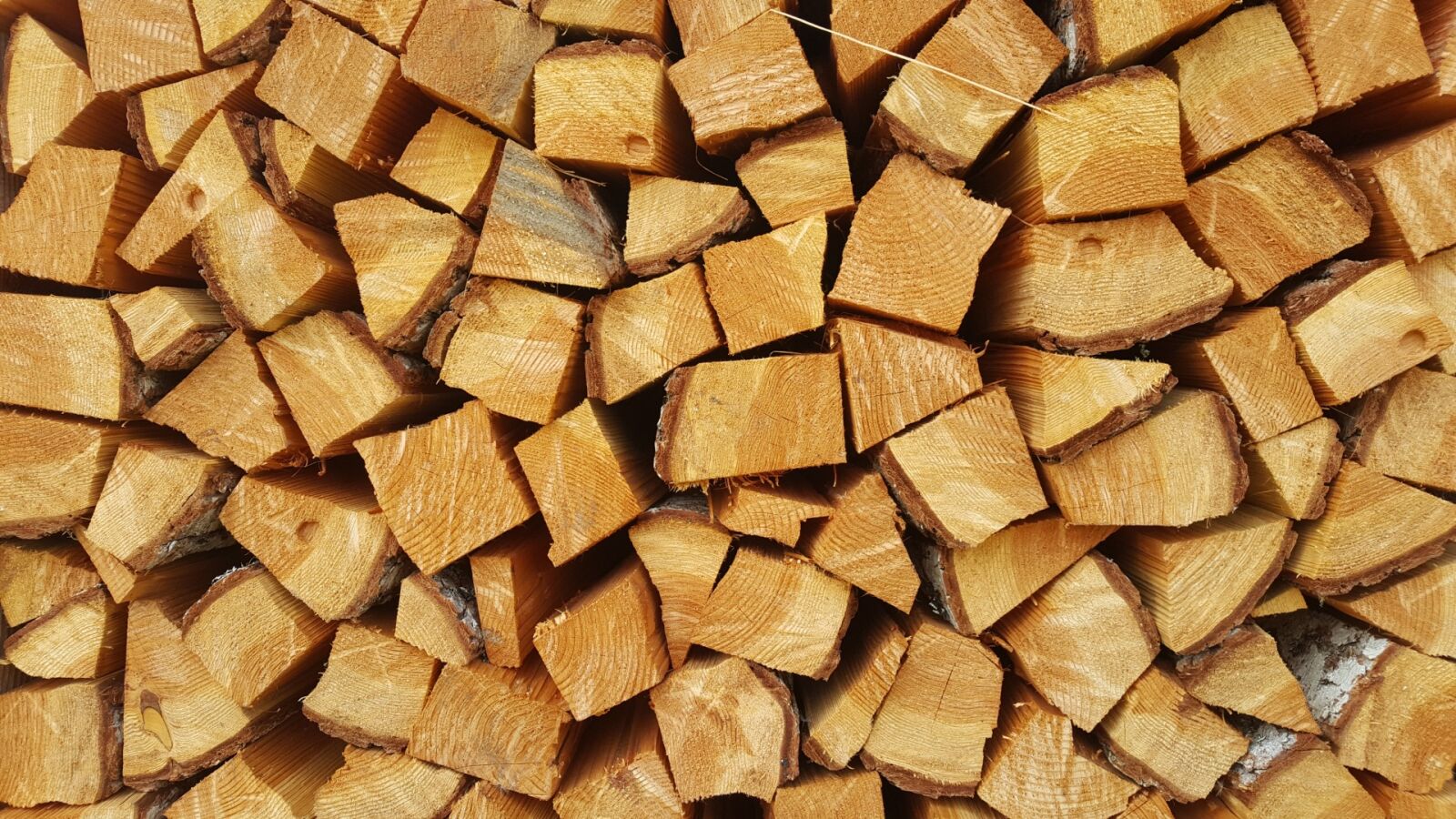 Samsung Galaxy S6 sample photo. Firewood, wood, woodpile photography