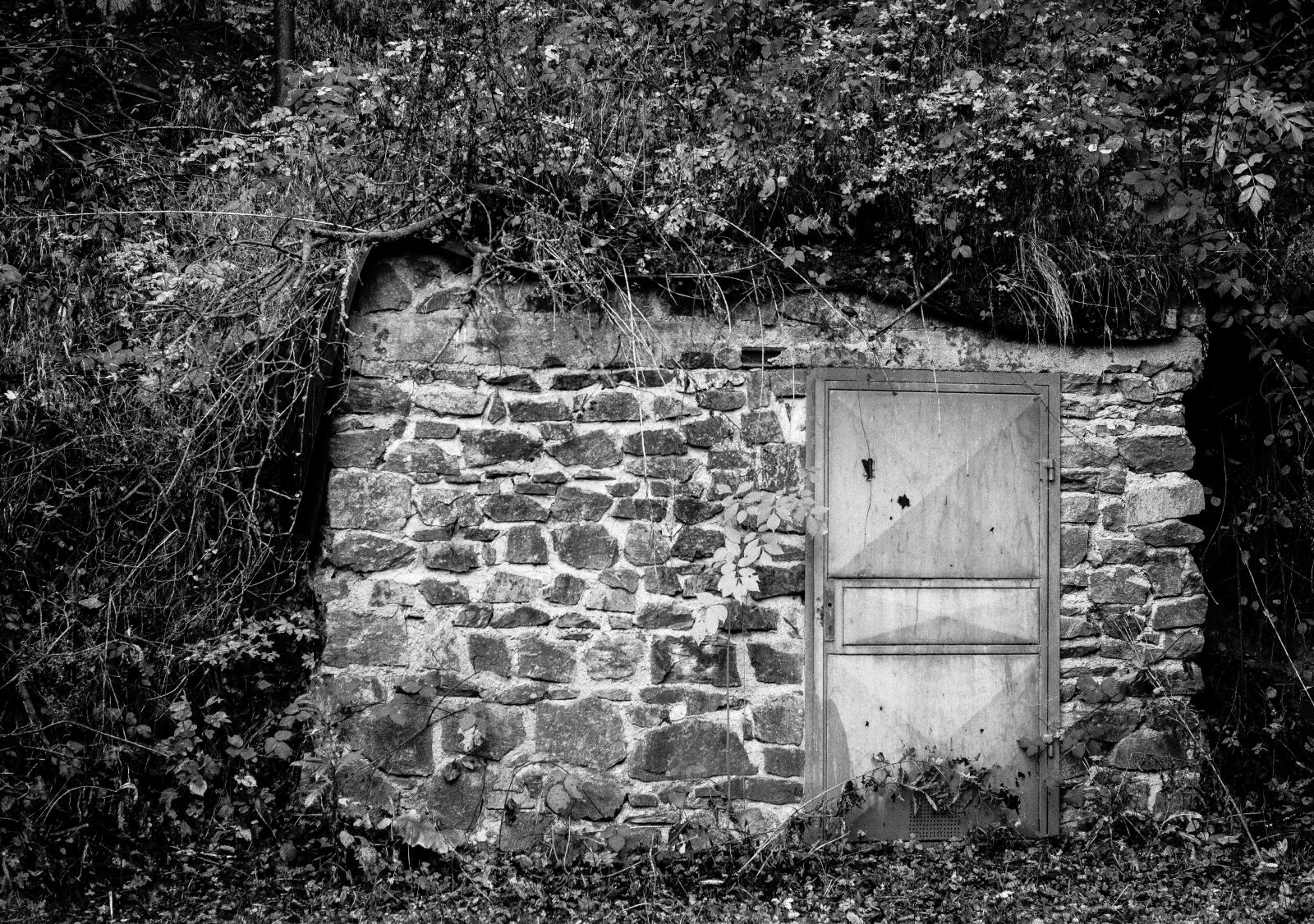 Canon EOS 700D (EOS Rebel T5i / EOS Kiss X7i) sample photo. Entrance, door, scary photography