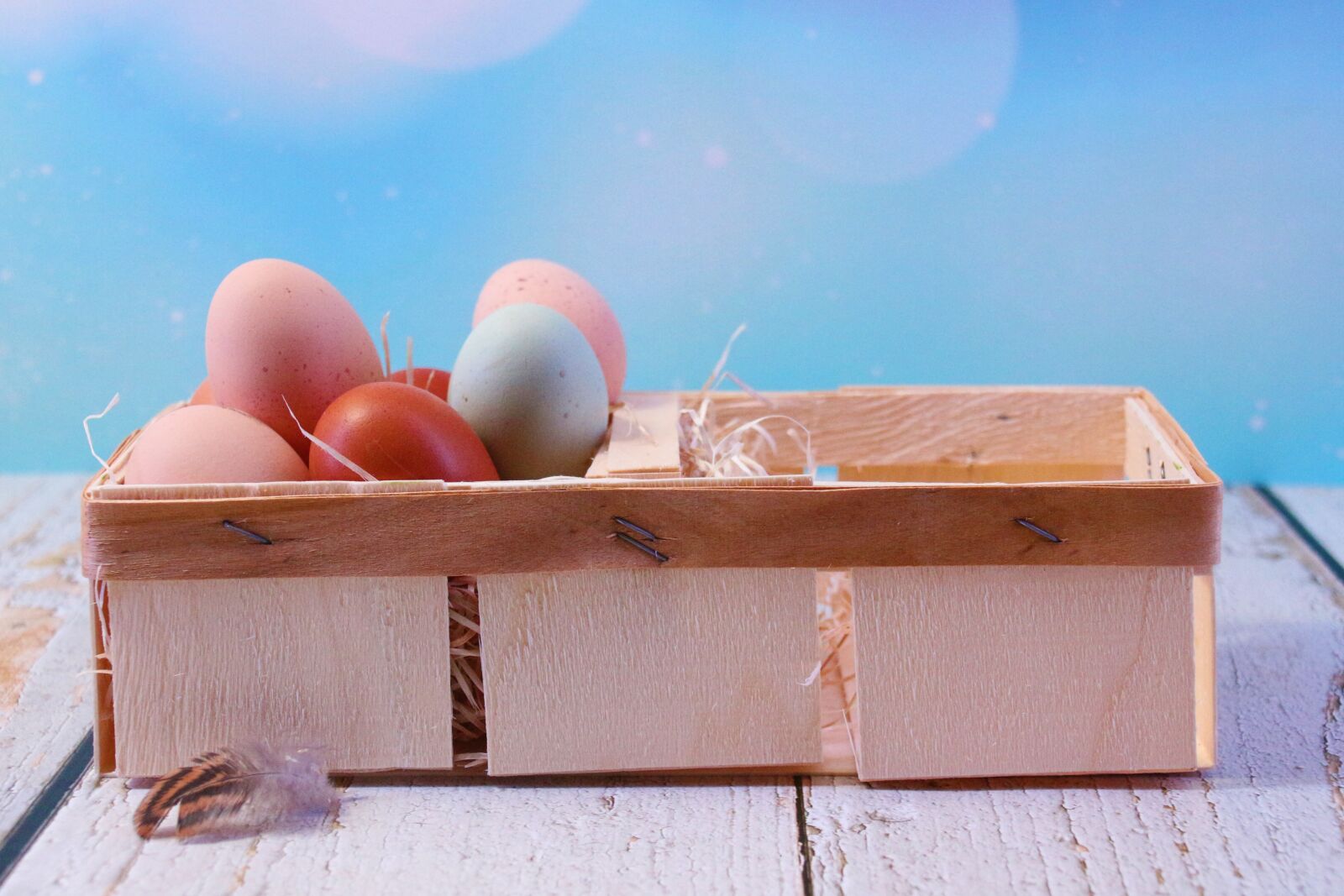 Canon EOS 700D (EOS Rebel T5i / EOS Kiss X7i) sample photo. Easter, egg, easter eggs photography