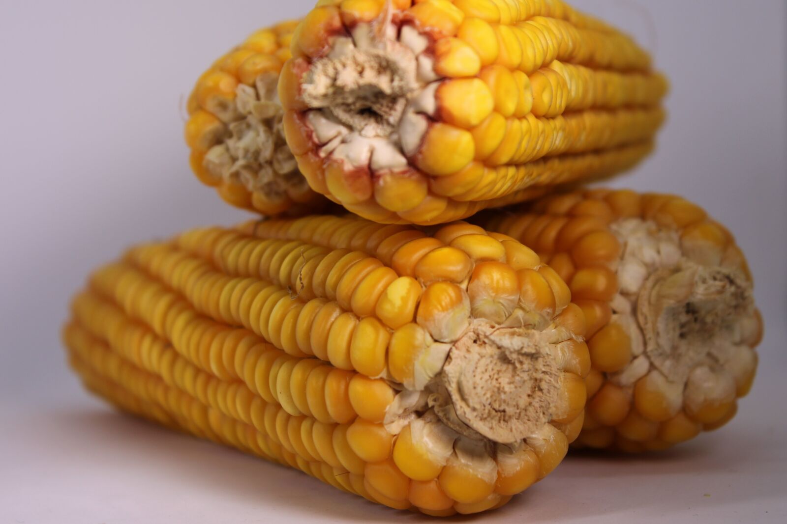 Canon EOS 700D (EOS Rebel T5i / EOS Kiss X7i) sample photo. Corn, vegetables, food photography