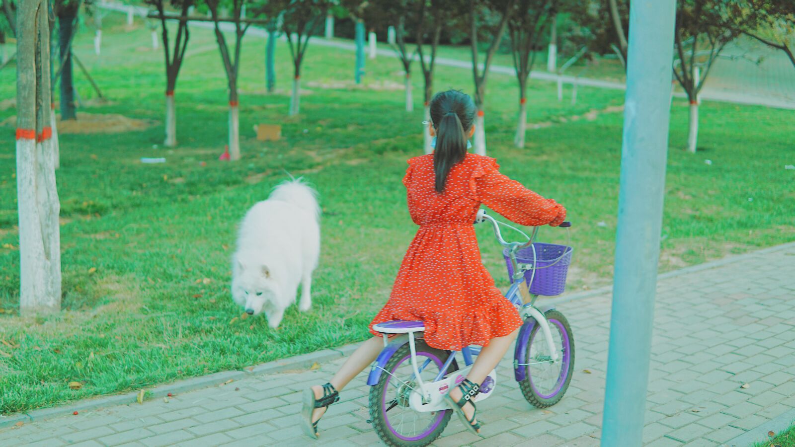 30mm F1.4 DC DN | Contemporary 016 sample photo. Red, dog, girls photography
