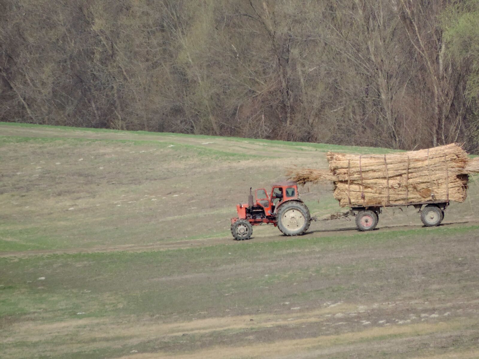 Nikon Coolpix P520 sample photo. Agriculture, field work, tractor photography