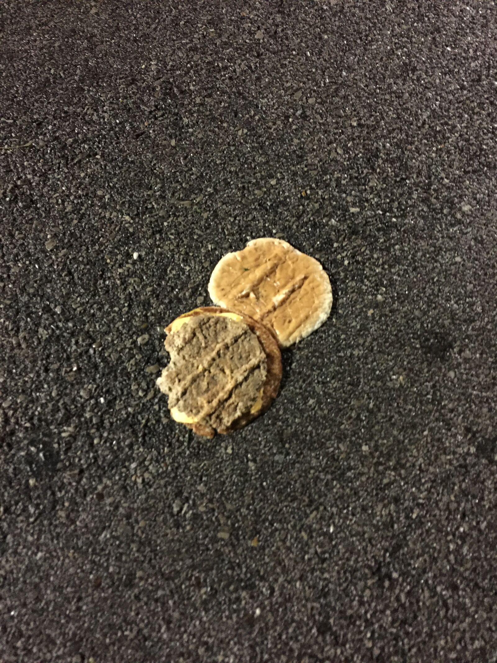iPhone 6 back camera 4.15mm f/2.2 sample photo. Hamburger, road, kill, trash photography