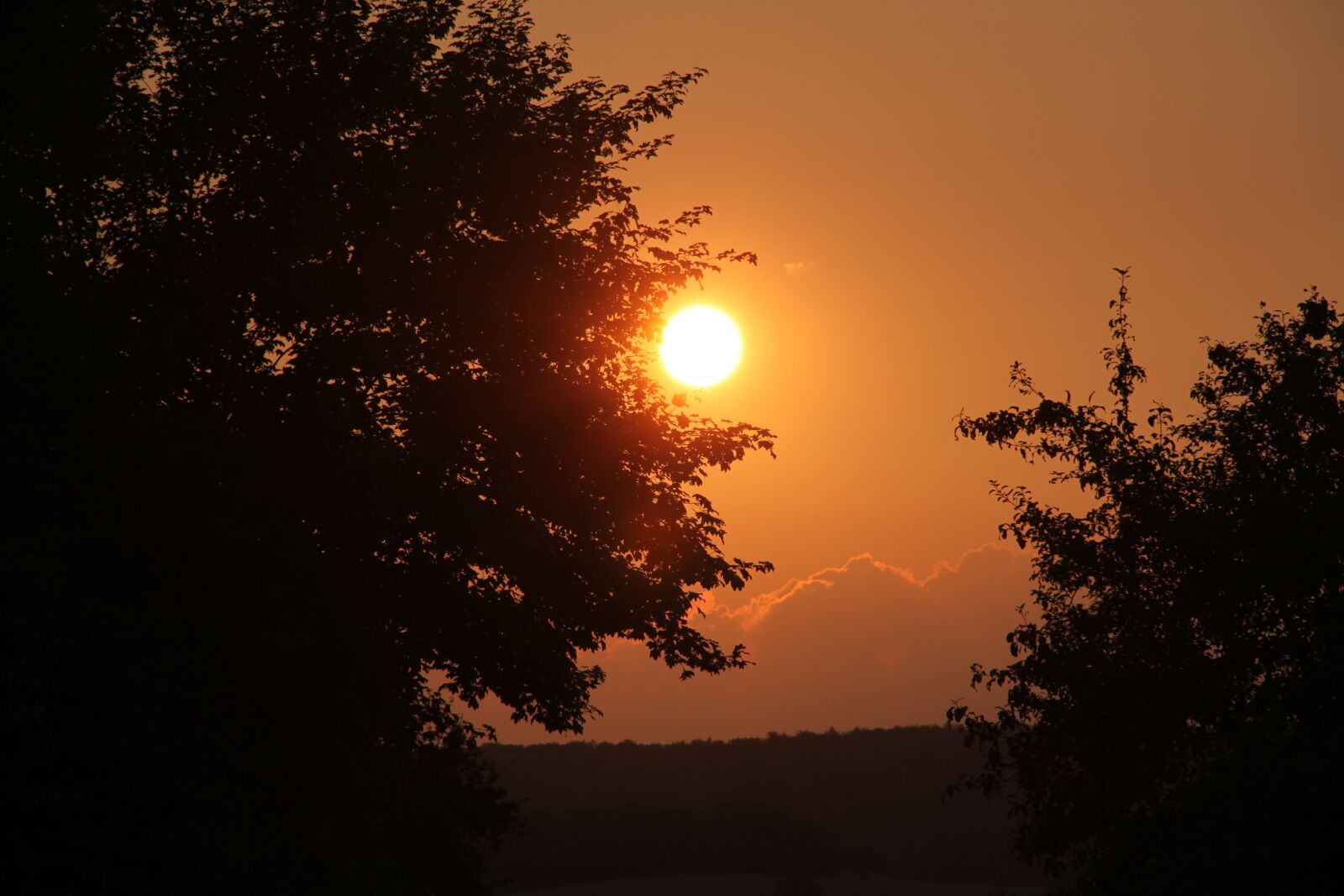 Canon EOS 500D (EOS Rebel T1i / EOS Kiss X3) sample photo. Sunset, orange, abendstimmung photography