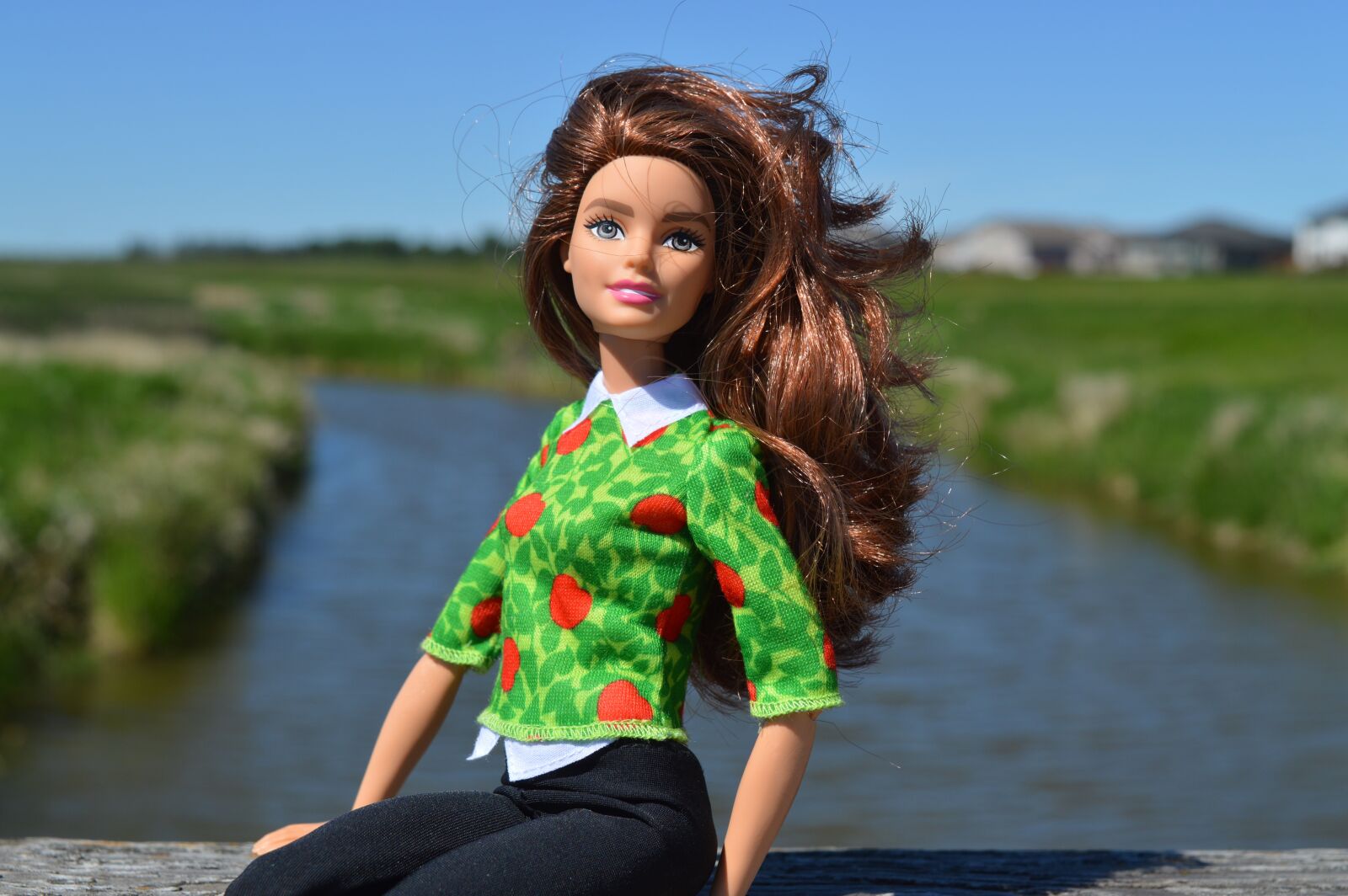 Nikon D3200 sample photo. Barbie, doll, girl photography