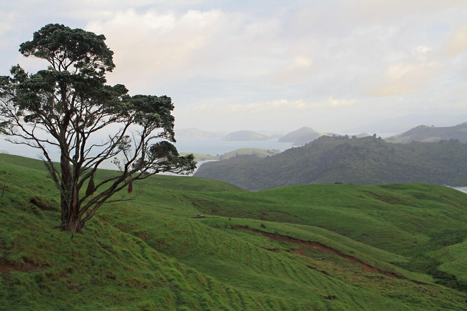 Canon EOS 7D sample photo. New zealand, coromandel, sea photography