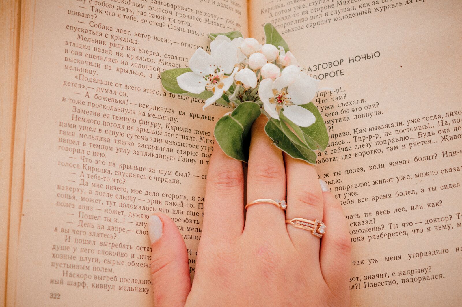 Nikon D3200 sample photo. Book, flower, read photography