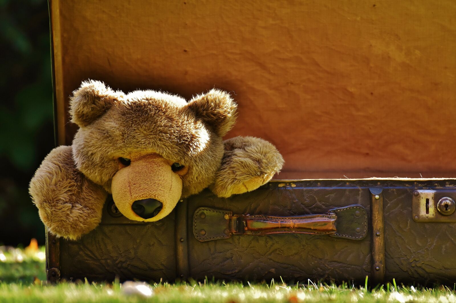 Nikon D7200 sample photo. Luggage, antique, teddy photography