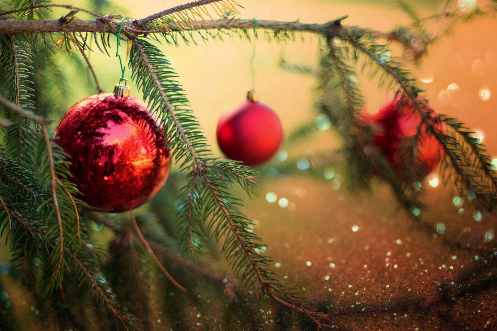 Canon EOS 5D Mark III sample photo. Christmas tree, decorative, branches photography
