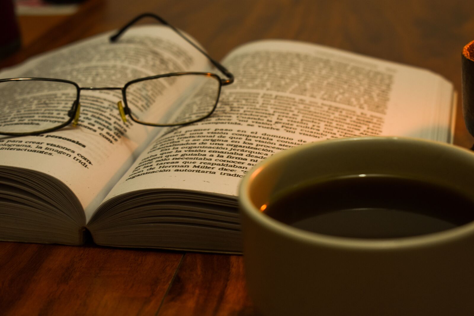 Nikon D3400 sample photo. Lenses, book, reading photography