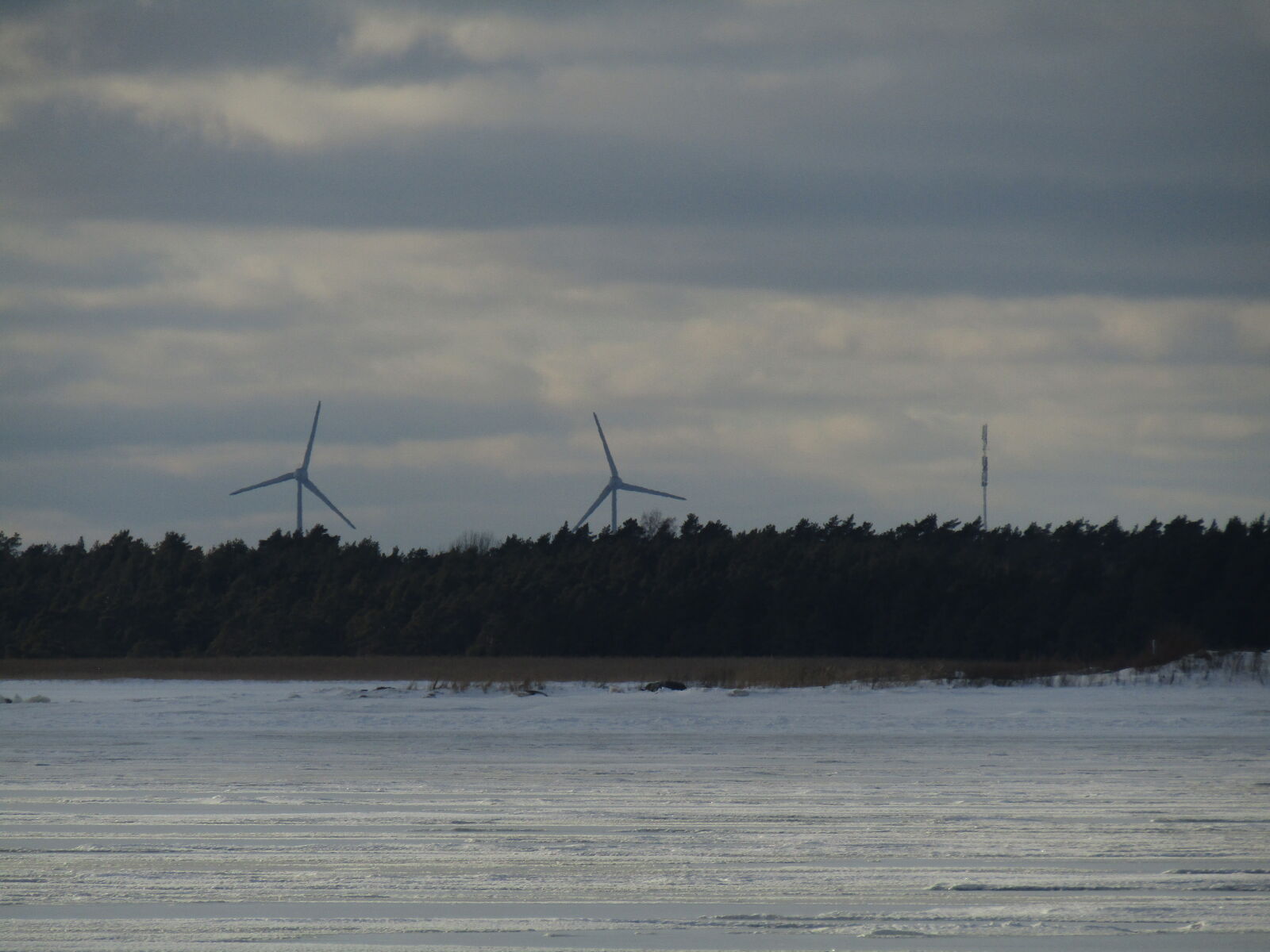 Canon PowerShot SX420 IS sample photo