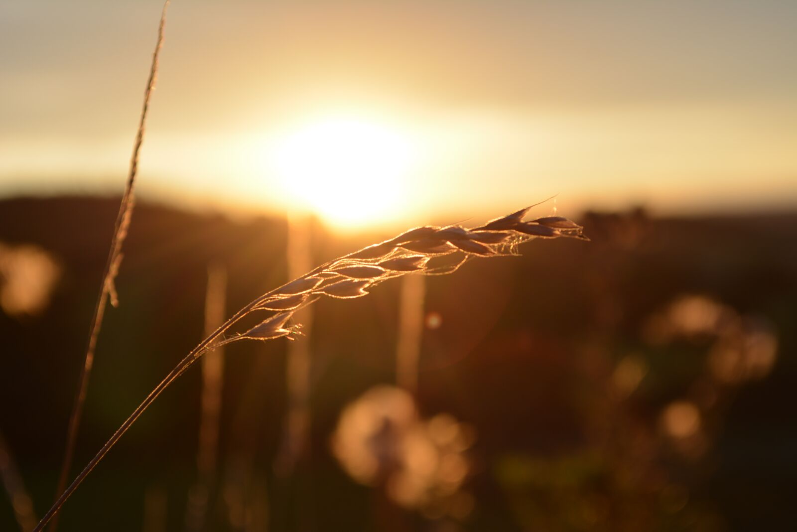 Nikon D5200 sample photo. Sunset, sky, sun photography