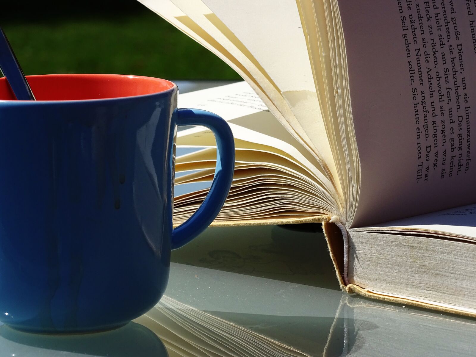 Sony Cyber-shot DSC-HX400V sample photo. Cup, books, read photography
