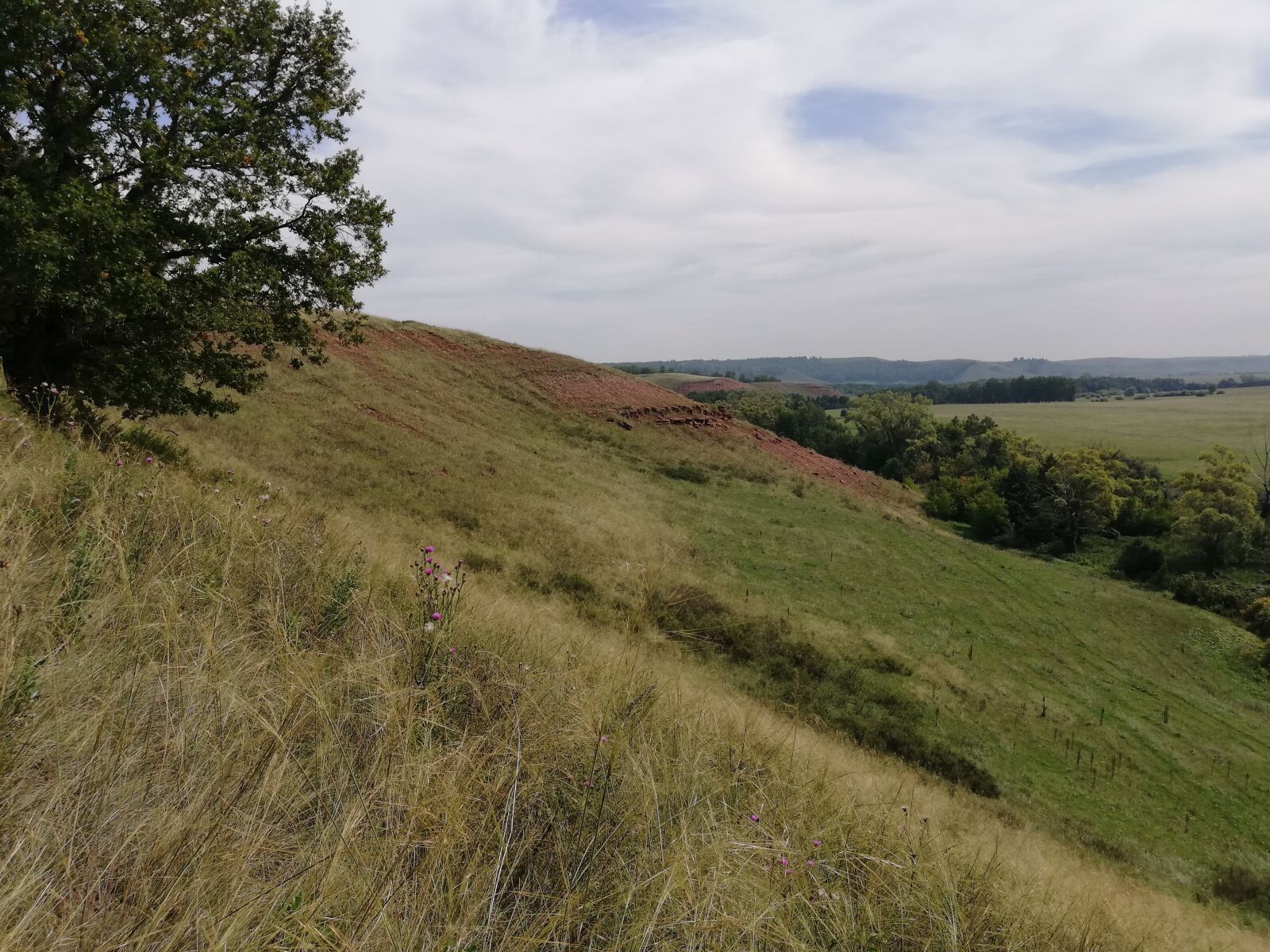 HUAWEI P20 lite sample photo. Hill, field, tree photography