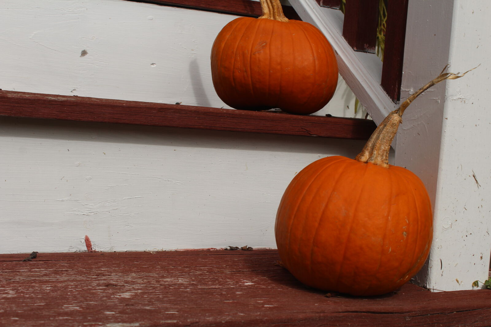 Canon EOS 1200D (EOS Rebel T5 / EOS Kiss X70 / EOS Hi) sample photo. Autumn, door, pumpkin, steps photography