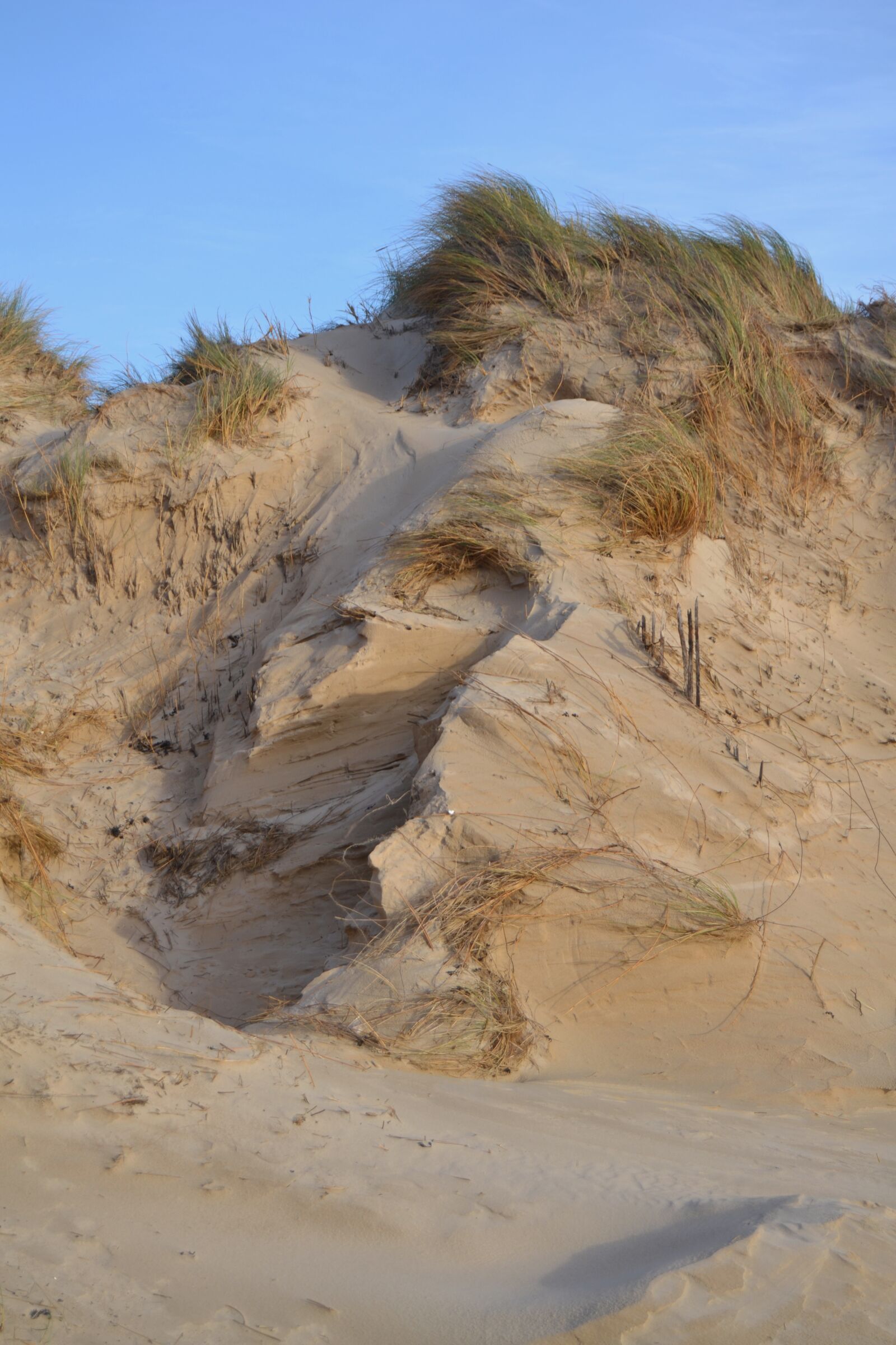Nikon D3100 sample photo. Dunes, seaside, sand photography