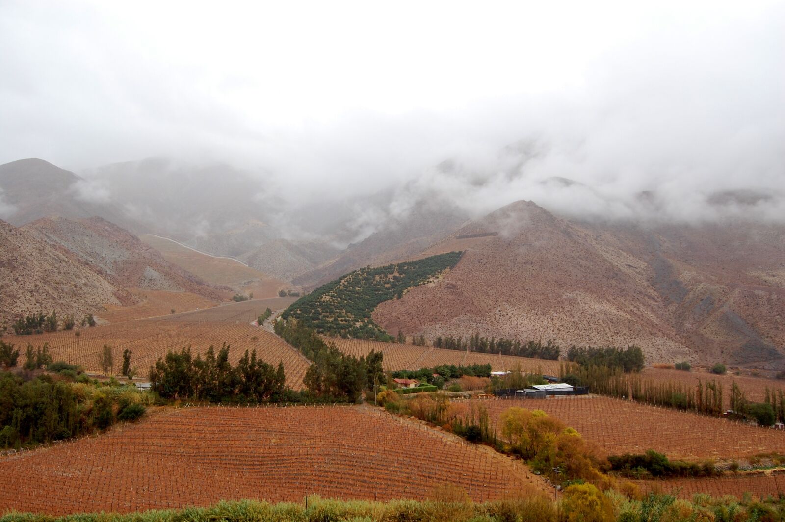 Nikon D40 sample photo. Chile, elqui valley, pisco photography