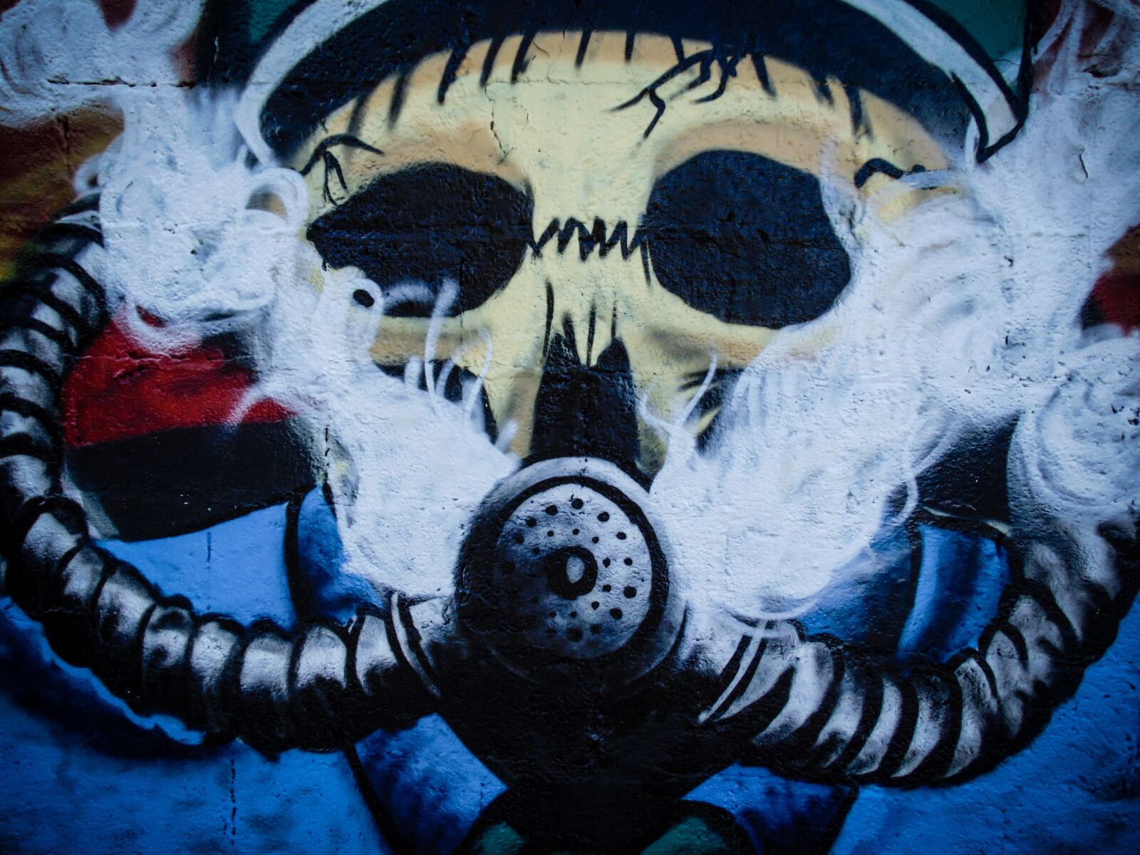 Sony Cyber-shot DSC-H300 sample photo. Graffiti, wall, painting photography