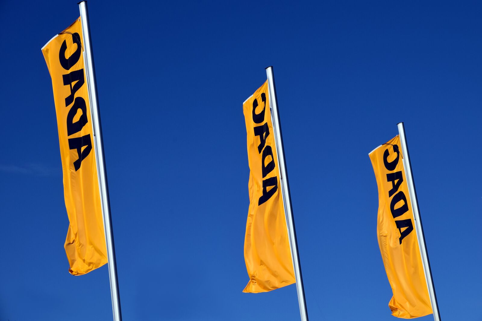 Nikon D3300 sample photo. Adac, flags, yellow photography