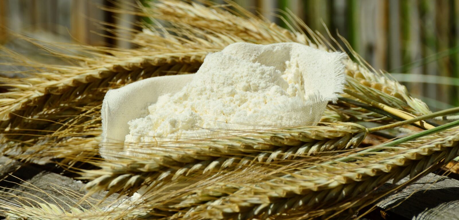 Nikon D5100 sample photo. Flour, cereals, spike photography