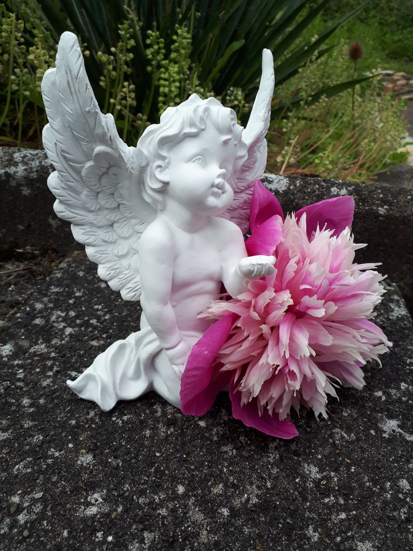Samsung Galaxy A5(2017) sample photo. Angel, flower, nature photography