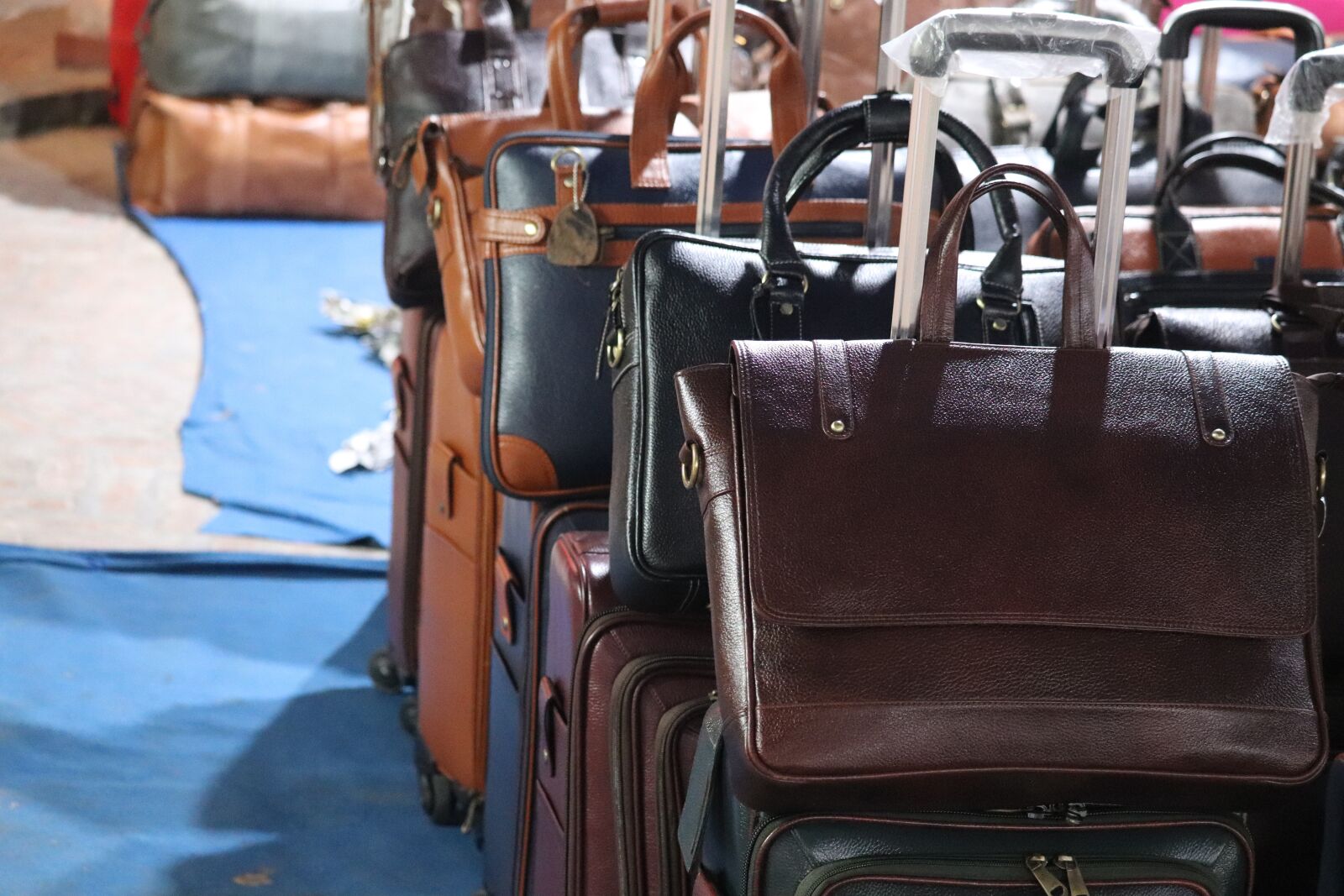 Canon EF-S 55-250mm F4-5.6 IS STM sample photo. Bags, leather, bag photography