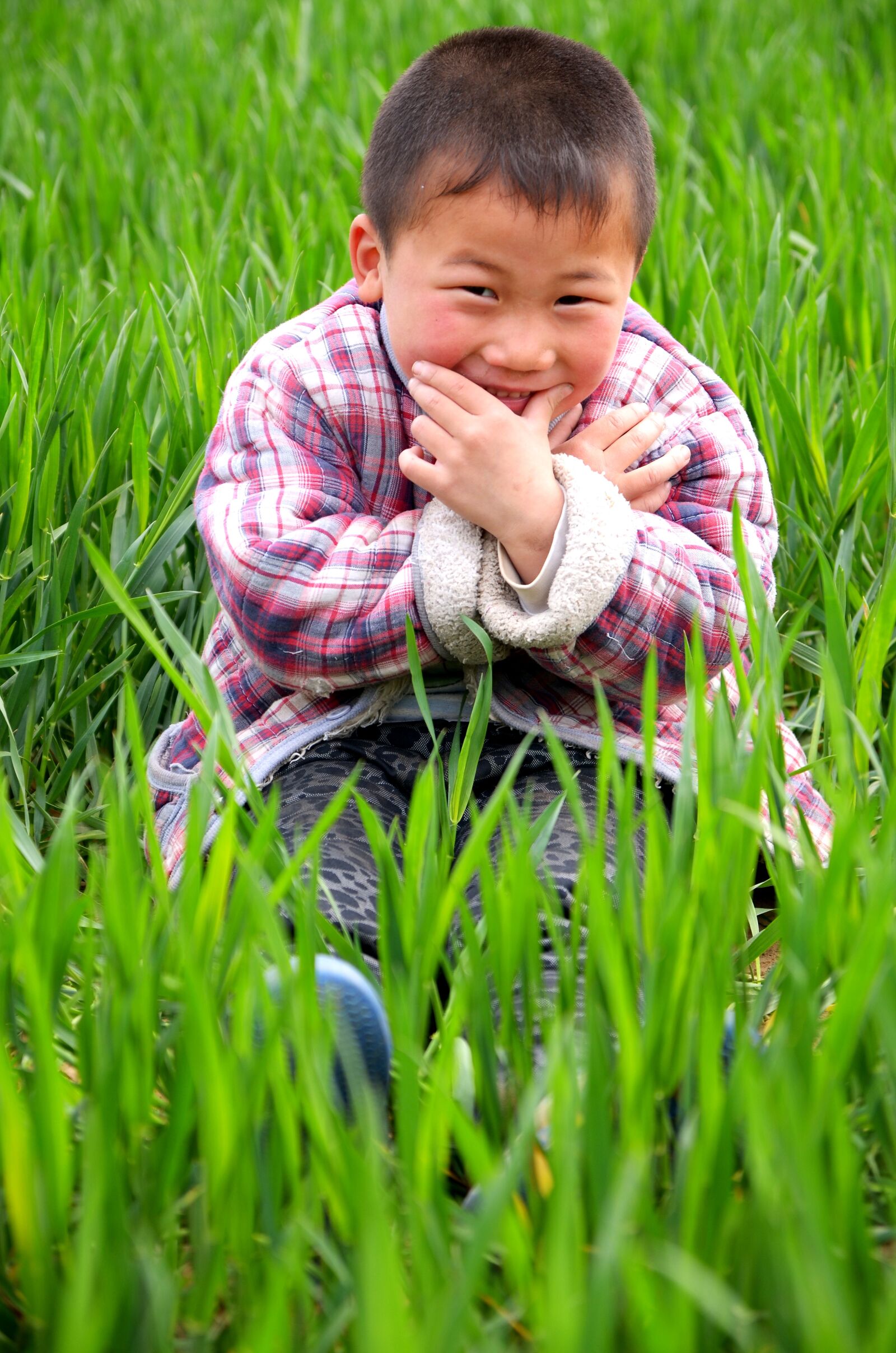 Nikon D7000 sample photo. Portrait, child, in wheat photography
