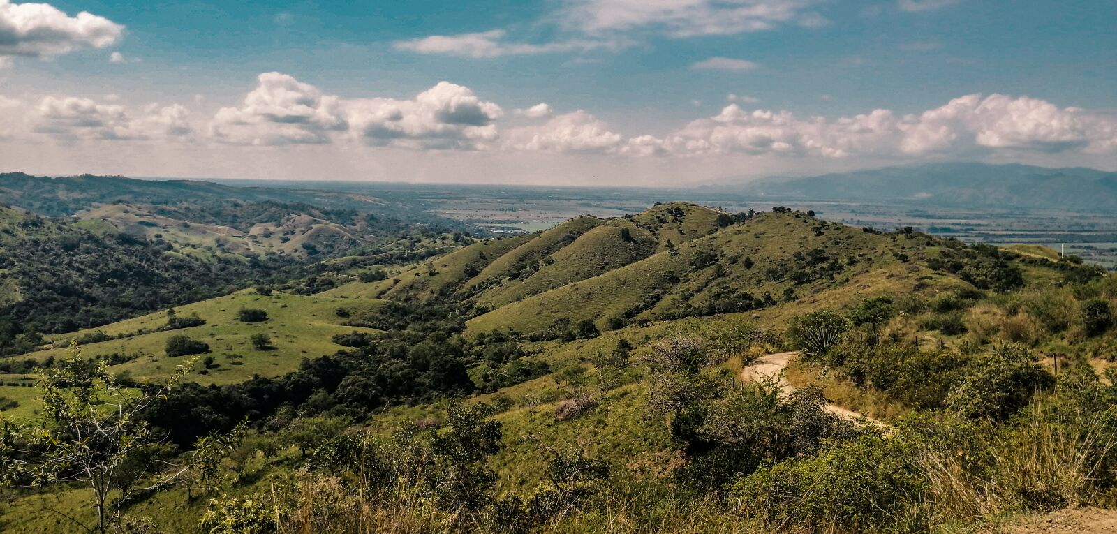 HUAWEI SNE-LX3 sample photo. Landscape, buga, the fallen photography