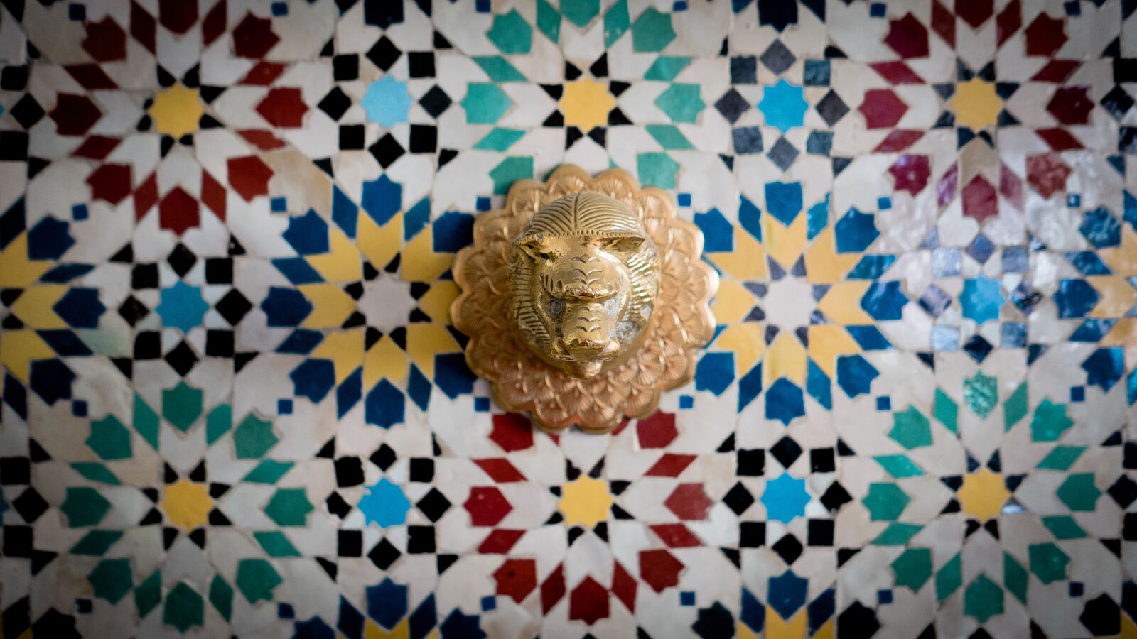Panasonic Lumix DMC-LX100 sample photo. Lion head, water outlet photography