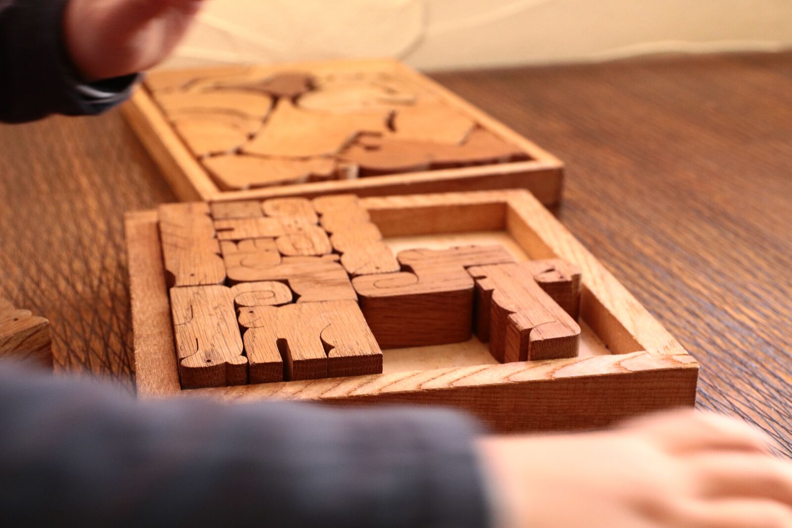 Canon EOS 80D sample photo. Puzzle, wood, playback photography
