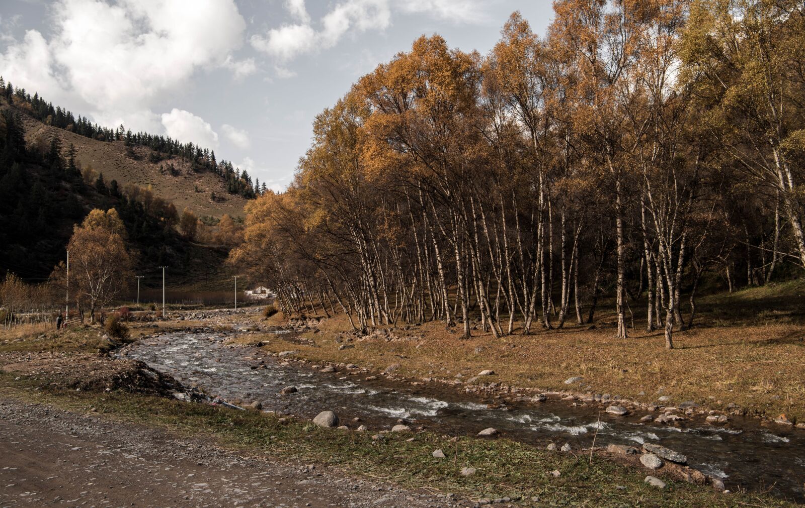 Nikon D810 sample photo. The scenery, fairy m photography
