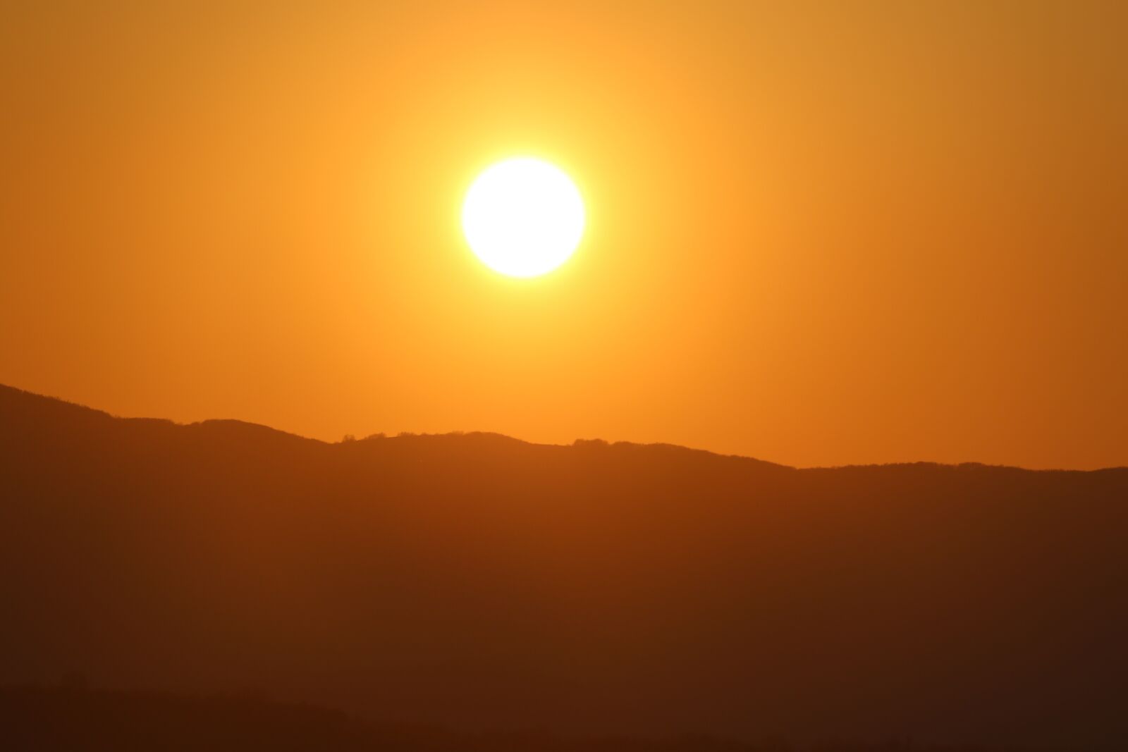 Canon EOS 7D Mark II sample photo. Golden hour, sunset, sun photography