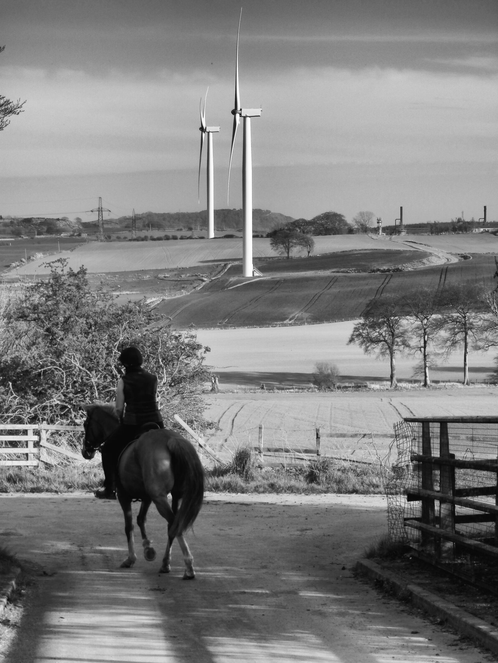Olympus SZ-14 sample photo. Wind turbine, horse, landscape photography