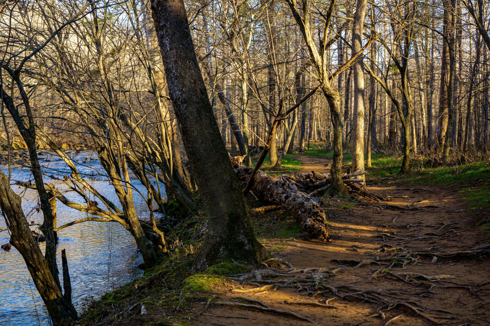Sony a6000 sample photo. Eno river, state park photography