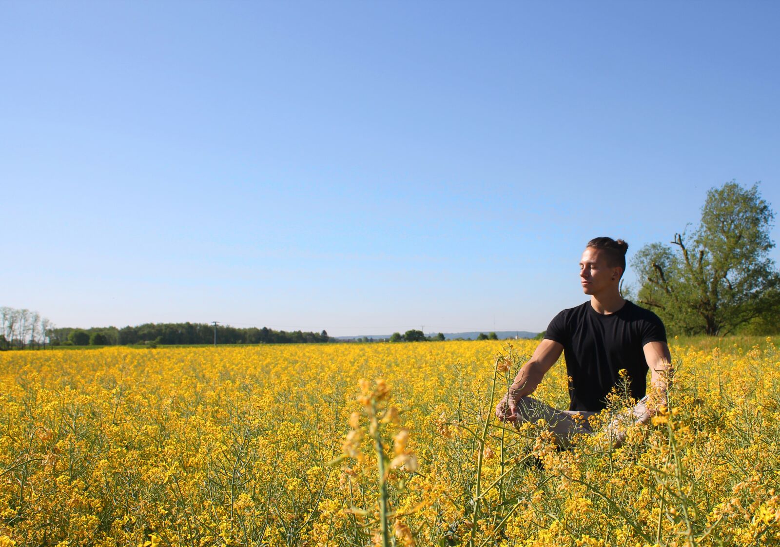 Canon EOS 1100D (EOS Rebel T3 / EOS Kiss X50) sample photo. Oilseed rape, meditation, nature photography