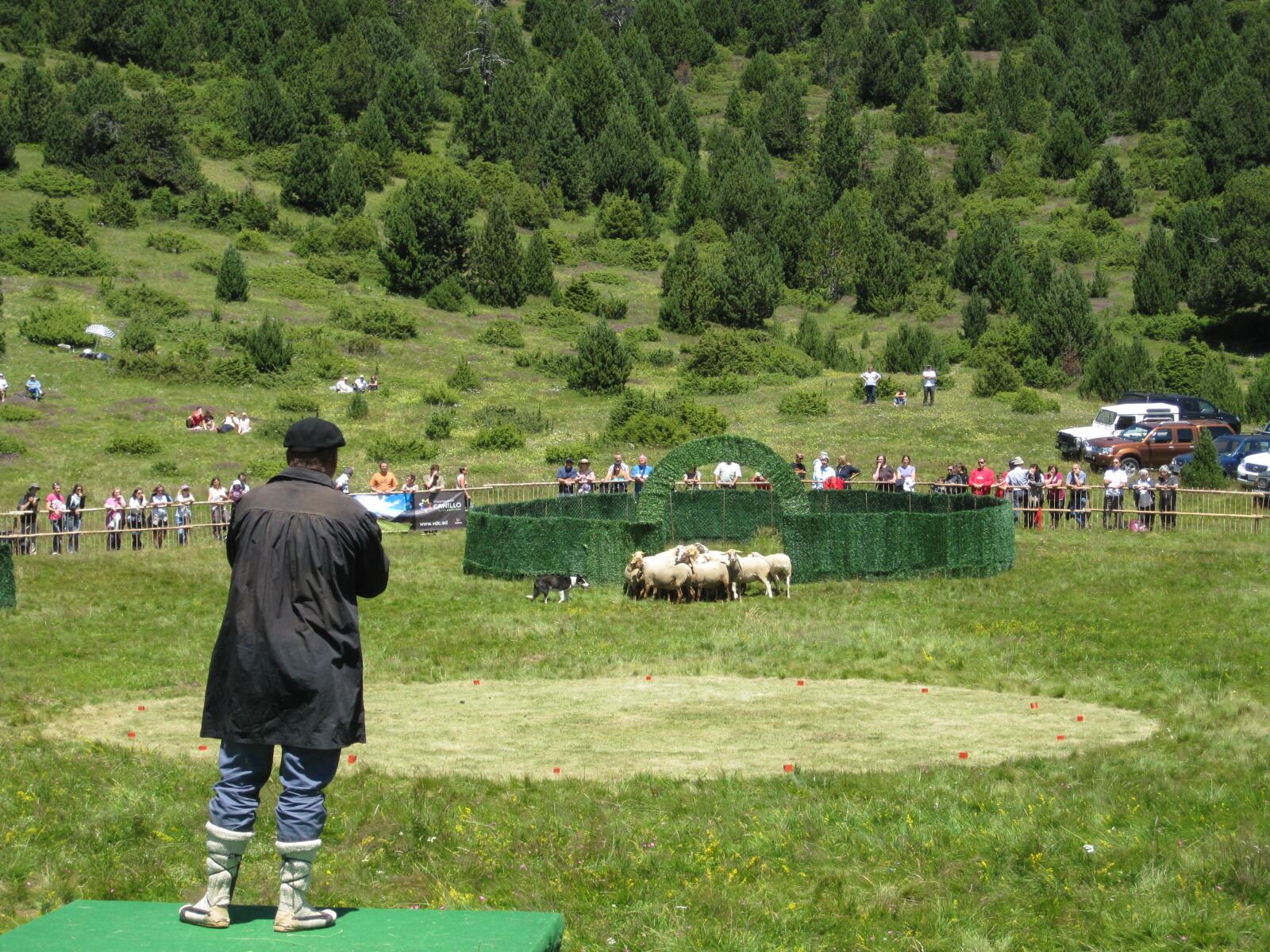 Canon PowerShot SD780 IS (Digital IXUS 100 IS / IXY Digital 210 IS) sample photo. Pastor, livestock, flock photography