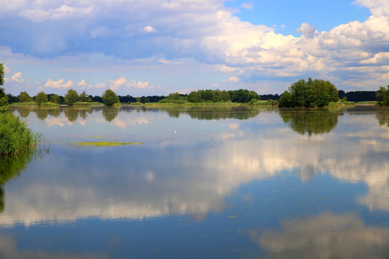 Canon EOS 6D sample photo. Lake, pond, water photography