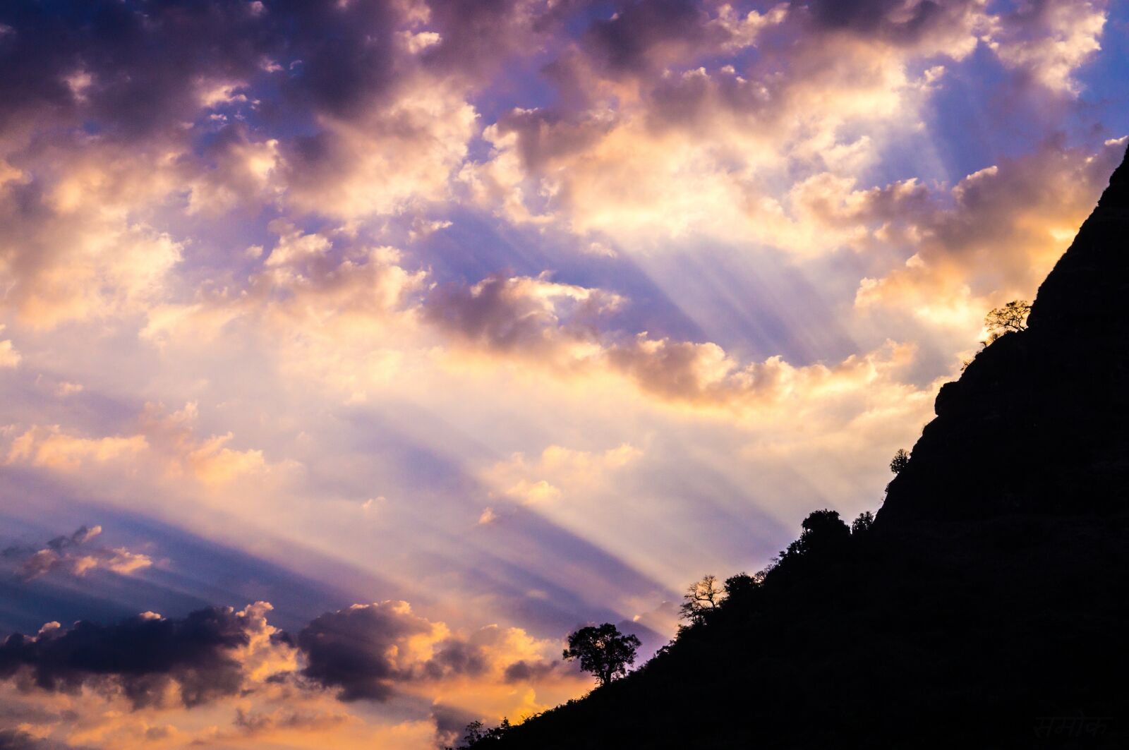 Sony SLT-A37 sample photo. Sun rays, morning sky photography