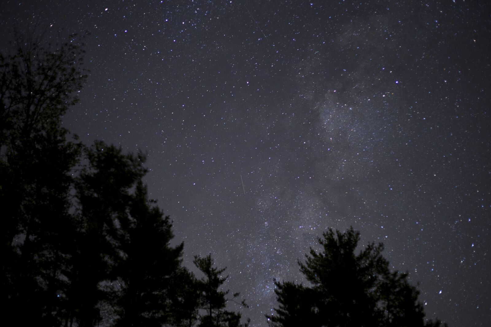 Canon EOS 6D sample photo. Night, stars, milky way photography