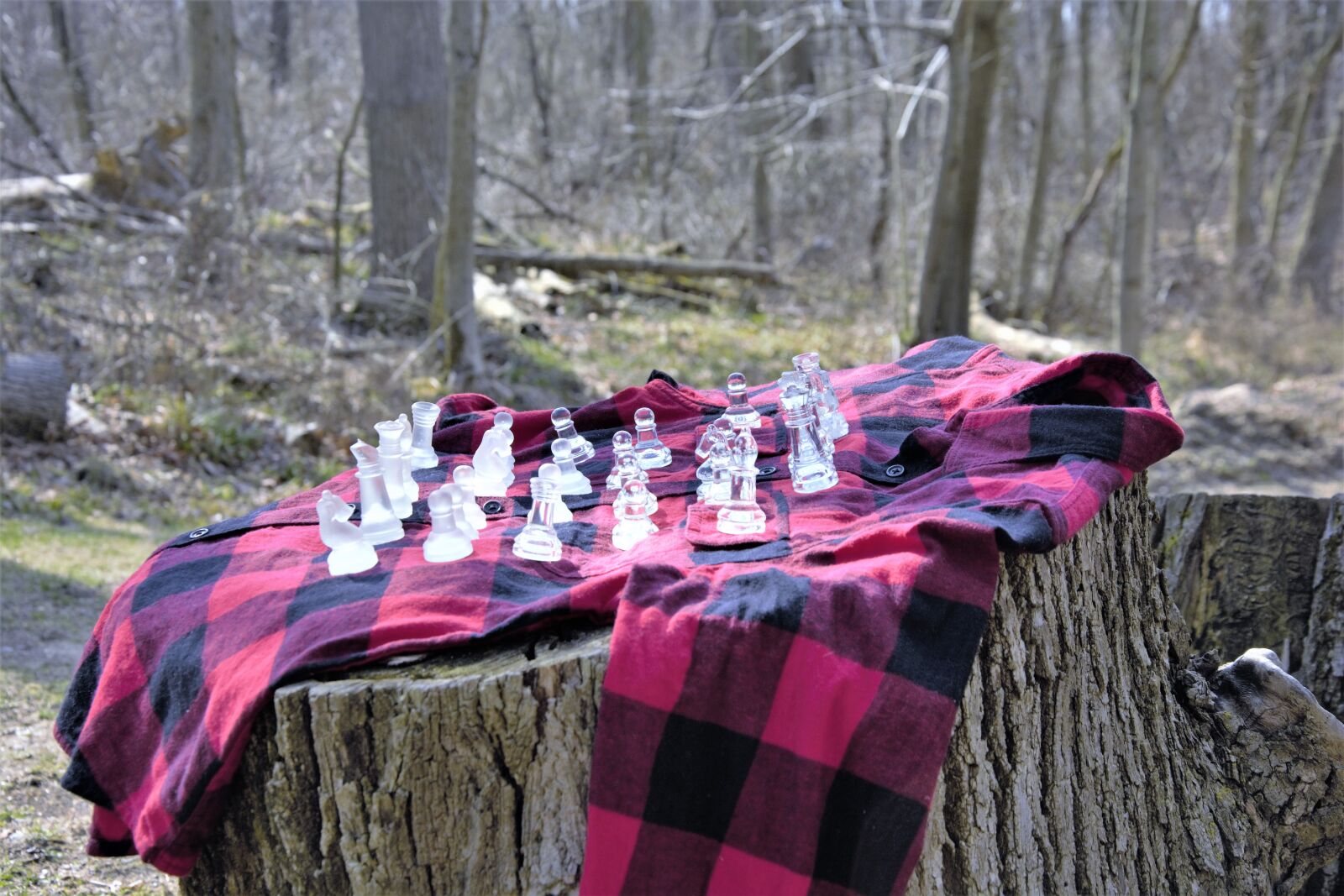 Nikon D7100 sample photo. Chess, board, flannel photography