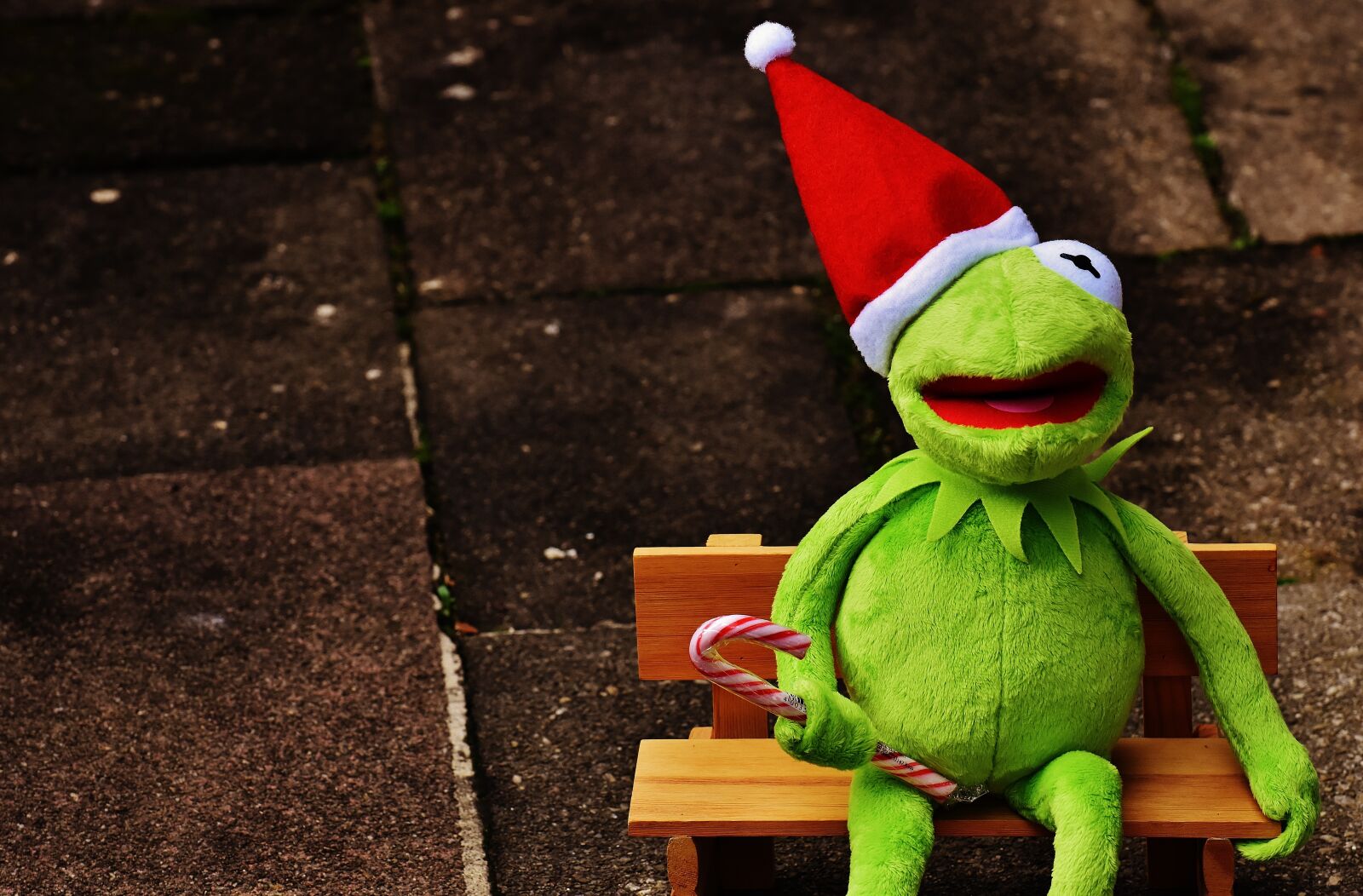 Nikon D7200 sample photo. Kermit, frog, christmas photography