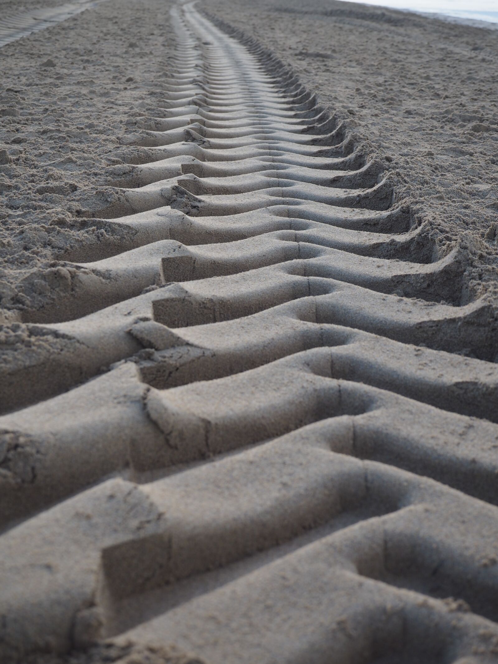 Olympus OM-D E-M10 sample photo. Sand, traces, tire tracks photography