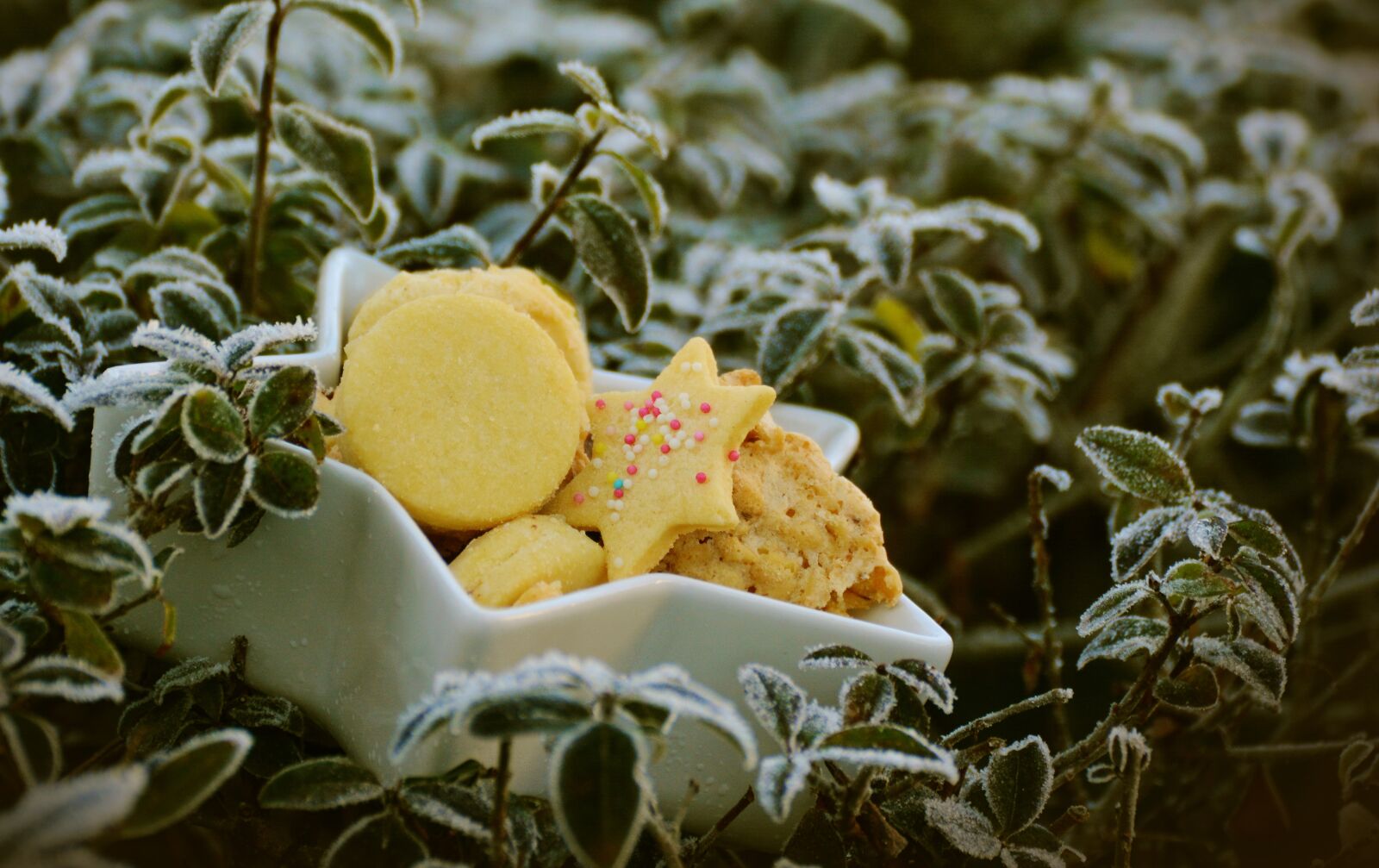 Nikon D5200 sample photo. Frost, winter, christmas cookies photography