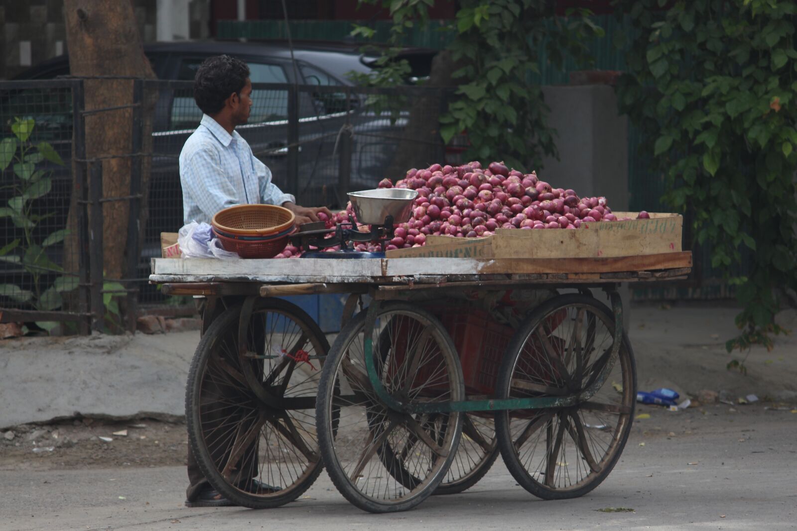 Canon EOS 700D (EOS Rebel T5i / EOS Kiss X7i) sample photo. Onion, seller, roadside photography