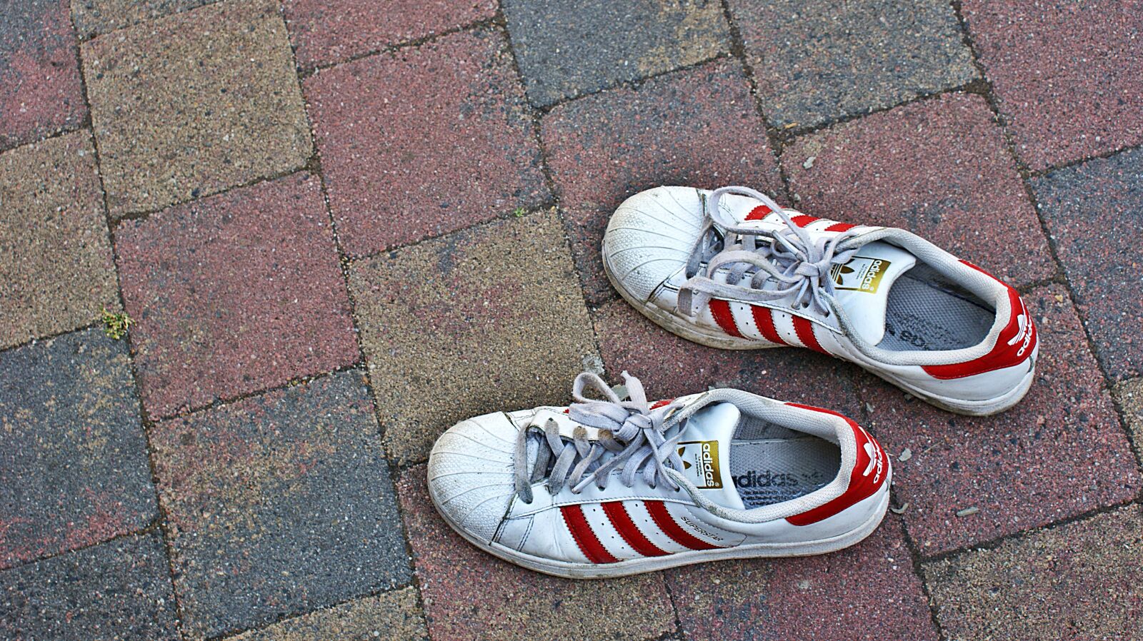Sony Alpha DSLR-A350 sample photo. Shoe, walk, hiking photography